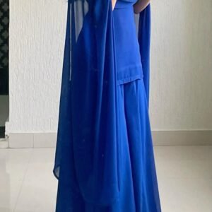 Chiffon flared plazo E004
