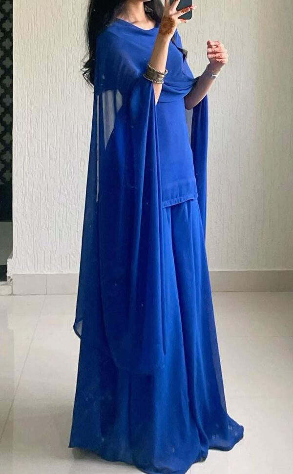 Chiffon flared plazo E004